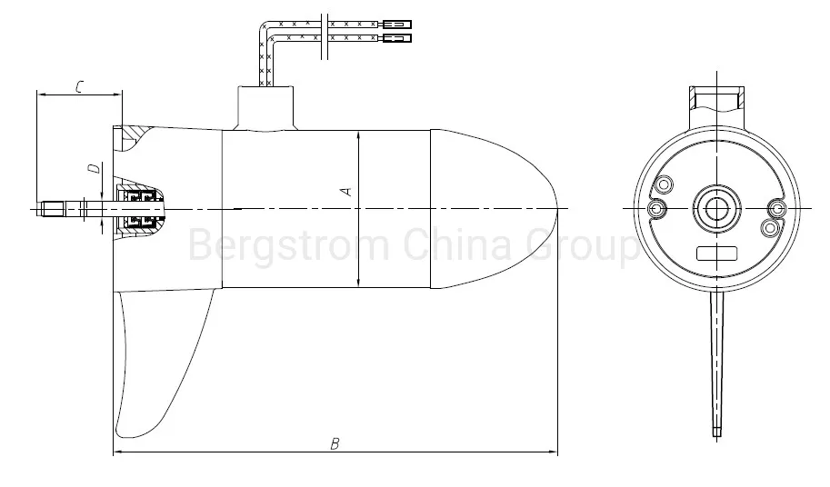 Outboard boat motor boat marine trolling motor electric dc motor 24V 500W BZY21AF -02