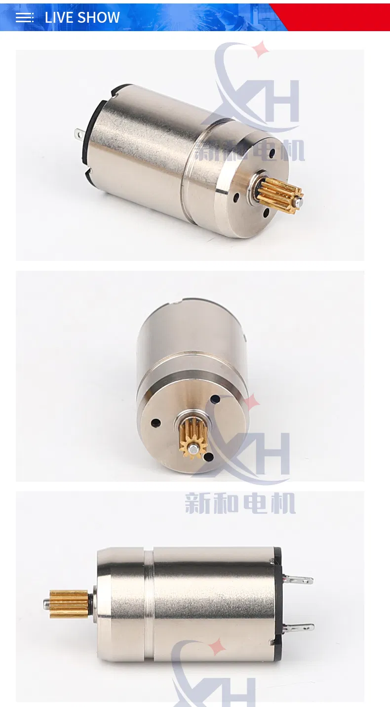 Professional Manufacturer The Best China 1524 Ten Teeth Coreless Motor Planetary Gear Motor/Reduction Micro Mini Electric DC Motor with Brush/Brushed