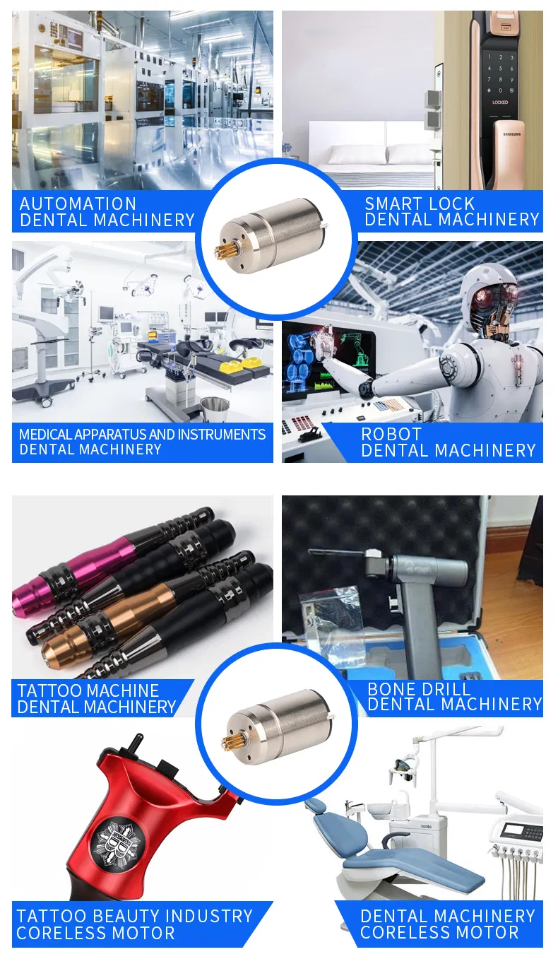 Professional Manufacturer The Best China 1524 Ten Teeth Coreless Motor Planetary Gear Motor/Reduction Micro Mini Electric DC Motor with Brush/Brushed