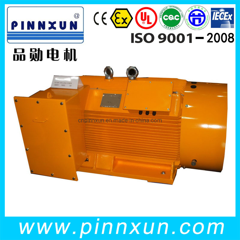 Speed Adjusted IC416 Electric Motor 560kw