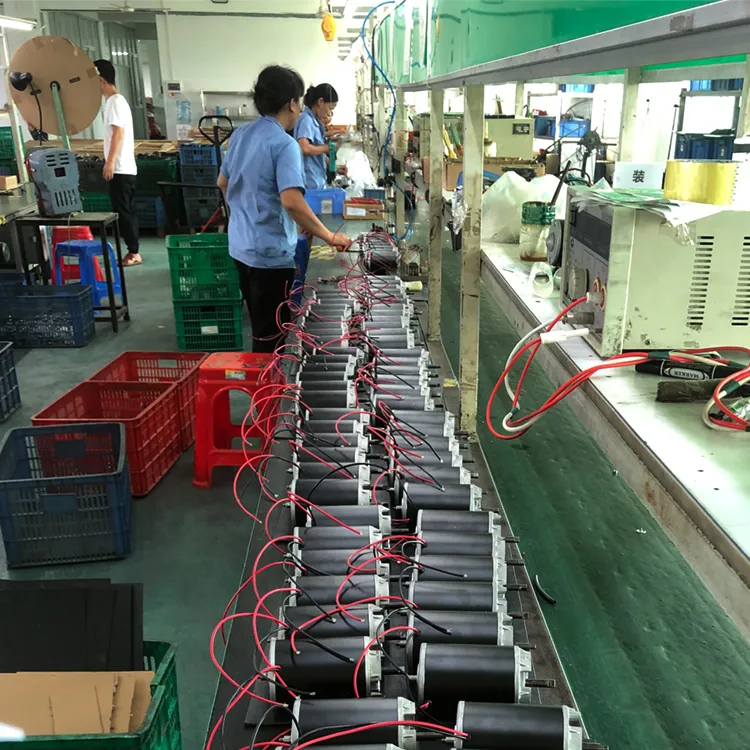 Strong Self-Lock DC Worm Gear Motor 12V High Torque Reduction Gearbox with Encoder