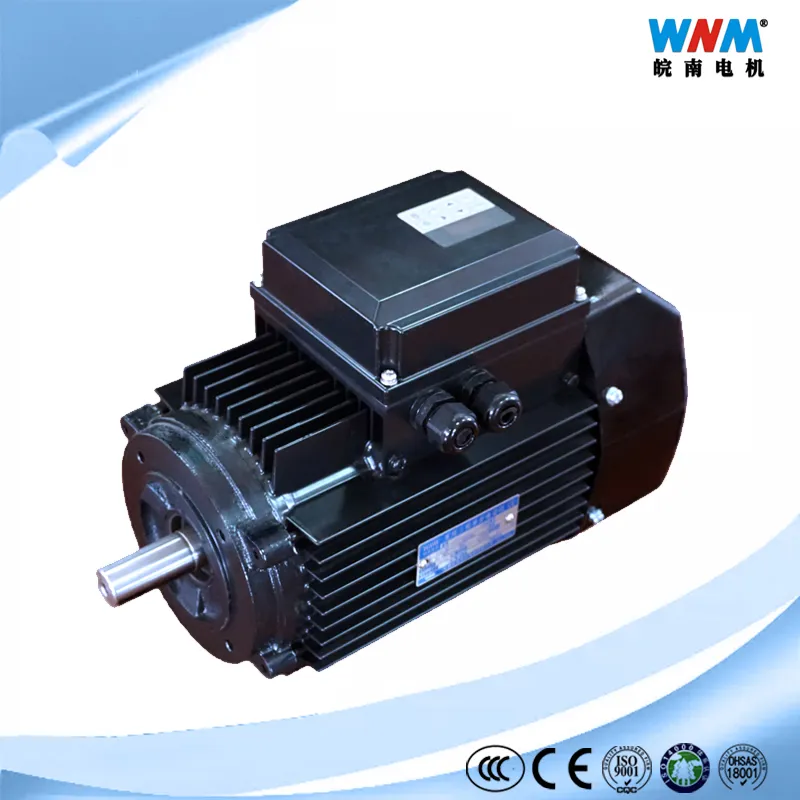Super Premium Ie2 & Ie3 Efficiency Smart Control Three Phase AC Electric Motor with Inverter 25Hz~60Hz for Hydraulic Power Units 5.5kw 7.5kw
