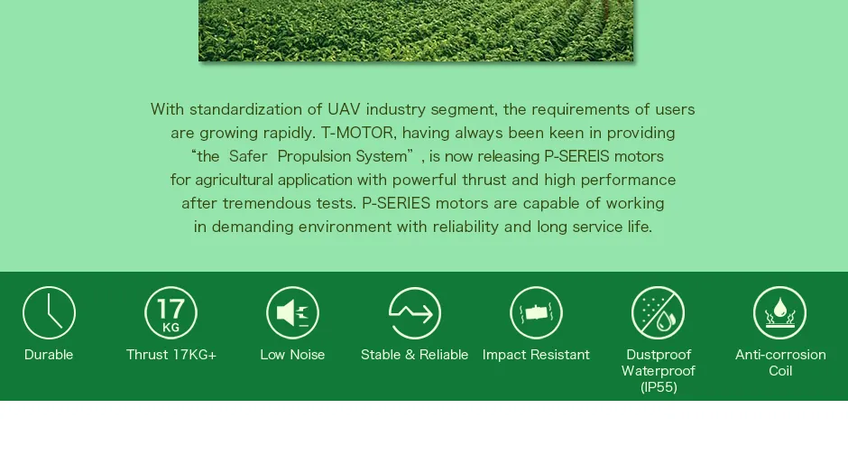 T-Motor Agriculture Drone Parts Brushless Motor P80III Pin Kv120 12s 17kg