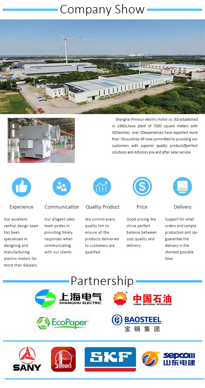 T Tk Tdmk Large Size Synchronous High Voltage Ball Mill AC Electric Induction Three Phase Motor