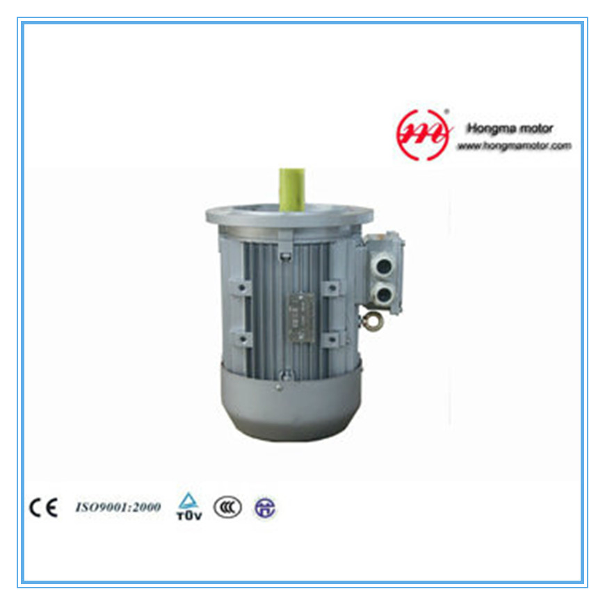 Three Multispeed Asynchronous Indution Motor