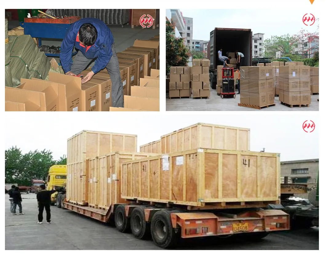 Three Multispeed Asynchronous Indution Motor