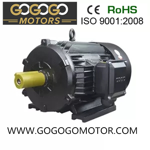 Three Phase Electric Motor Ye2- 315L1 -2 (0.75KW-400KW)