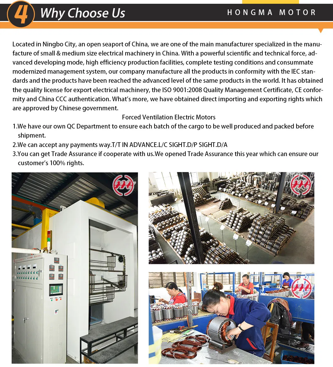 Variable Speed Three Phase Motor with Cast Iron Housing (225M-12P/6P-12/20KW)