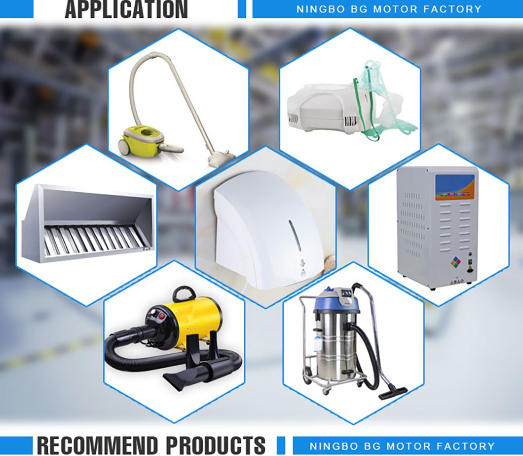 Wet and Dry Electric Motor for Vacuum Cleaner