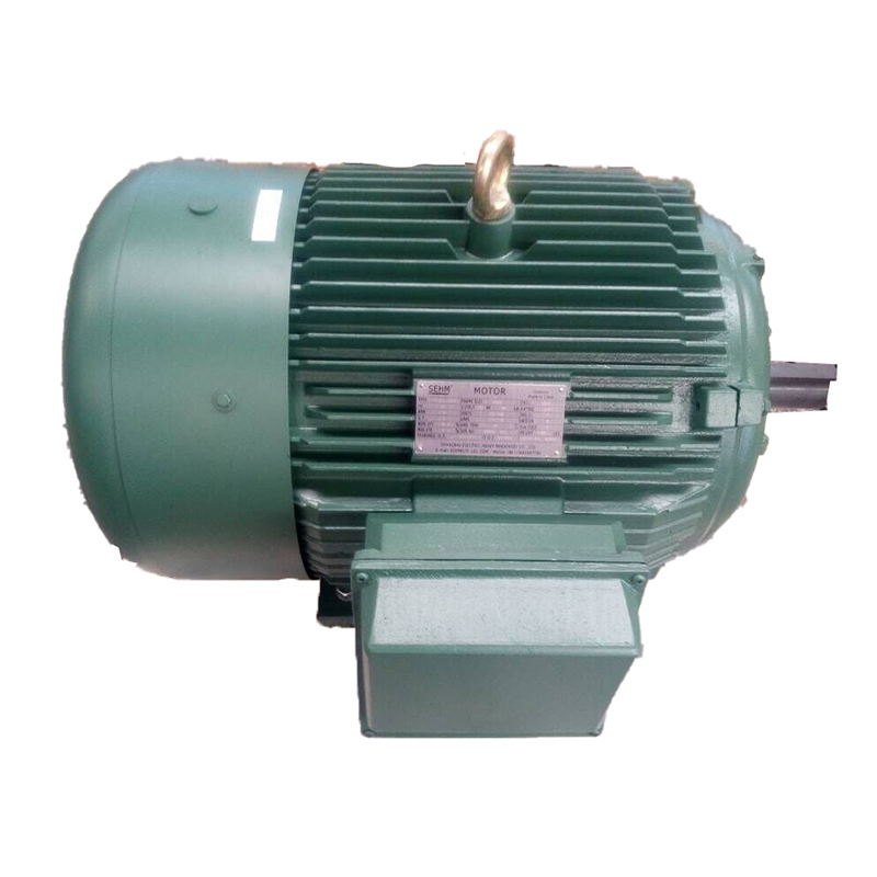 Y2- 315L1 -4 160kw Three-Phase AC Asynchronous Motor