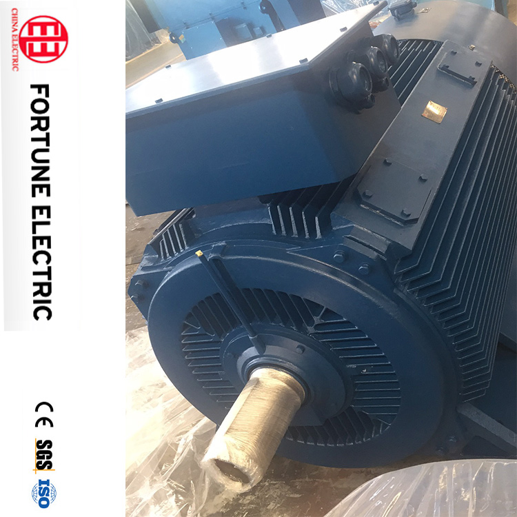 Y2vp4503-6 600kw Y2vp Series Three Phase AC Motor Frequency Motor