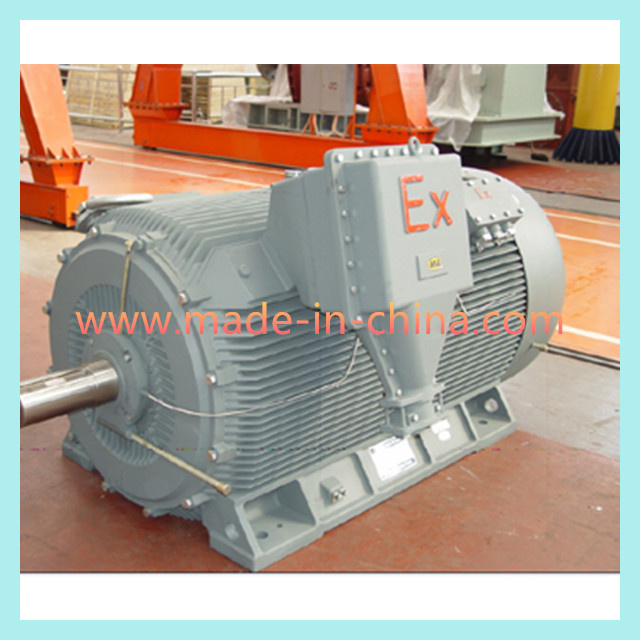 Yb2 6kv, 10kv Series High Voltage Explosion-Proof Motor
