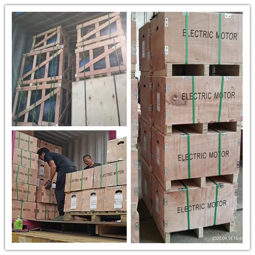 Yc Single Phase Compressor Motor Yc90s/L-2 (1.5/2HP)