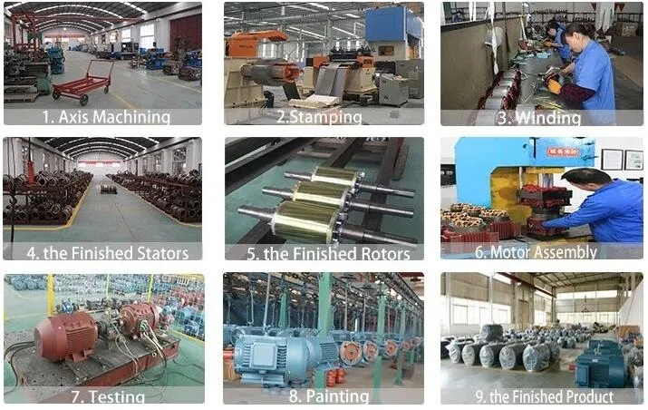 YD2 Series Pole-Changing 3-Phase Induction Motor