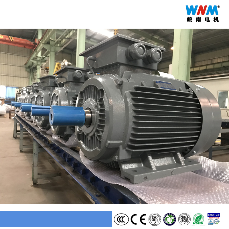 Ye2 Ce Approved 160kw Ye2- 315L1 -4 Poles 1485r/Min Cast Iron Three Phase Asynchronous AC Electric Motor