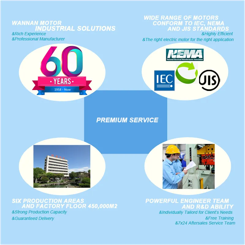 Ye3 Ce Approved IEC Premium Efficiency Three Phase Induction Squirrel Cage AC Electric Motoreducer 12 Ye3-100L-2 3kw