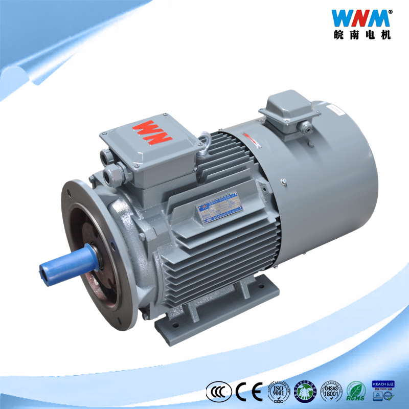 Ye3 Ce CCC Ie3 Ie2 Three Phase AC Induction Electric Fan Pump Motor IEC 60034-7 Mounting of B3 B5 B14 B34 B35 V1 V18 Foot and Flange Ye3-355 1-2 355kw 2985rpm