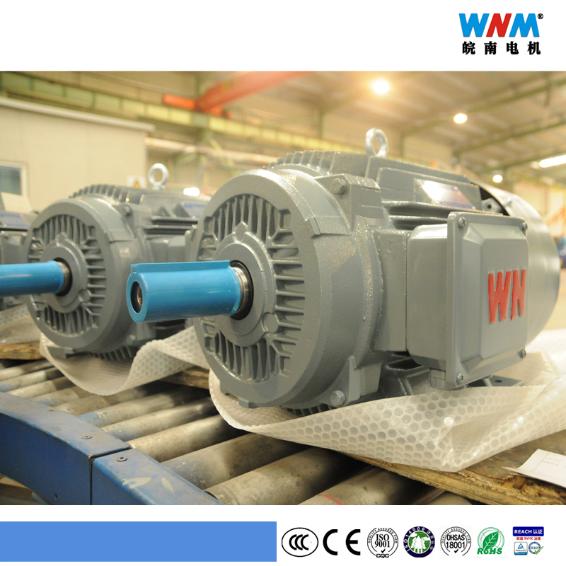Ye3 IEC Standard Premium Efficiency Ie3 Three Phase Induction AC Electrical Motors for Cement Oil Gas Food Plant Mine Textile Ye3-63m2-2 0.25kw