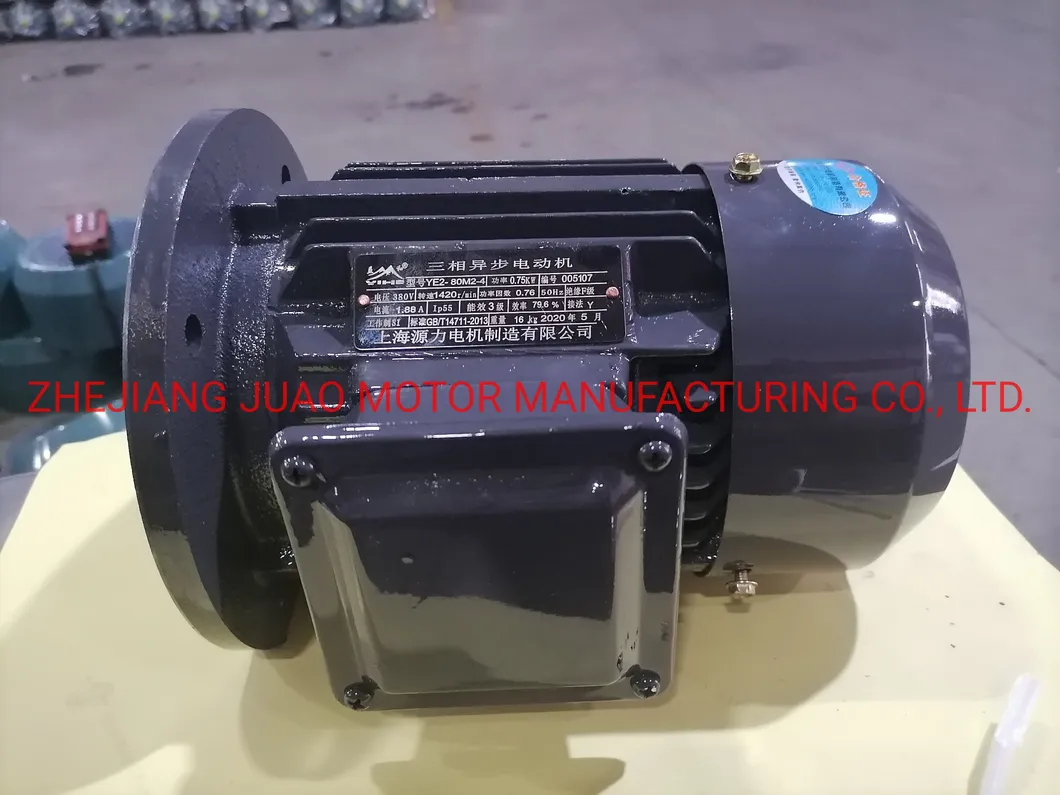 Ye3 Series Industrial Electric Motor High Speed Three Phase Induction Motor