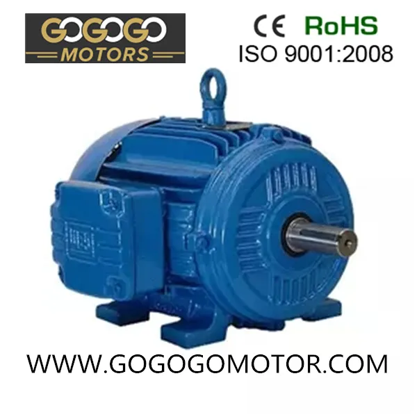 Yej Series Three-Phase Asynchronous Motor Yej200L2-2 37kw/50HP