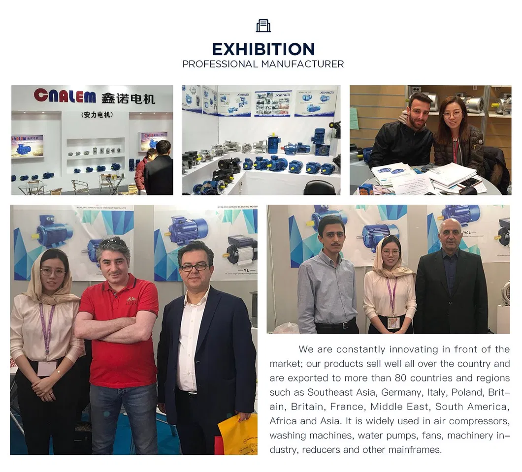 YL-90S-4 YL Series Single-Phase Dual-Value Capacitor Motor