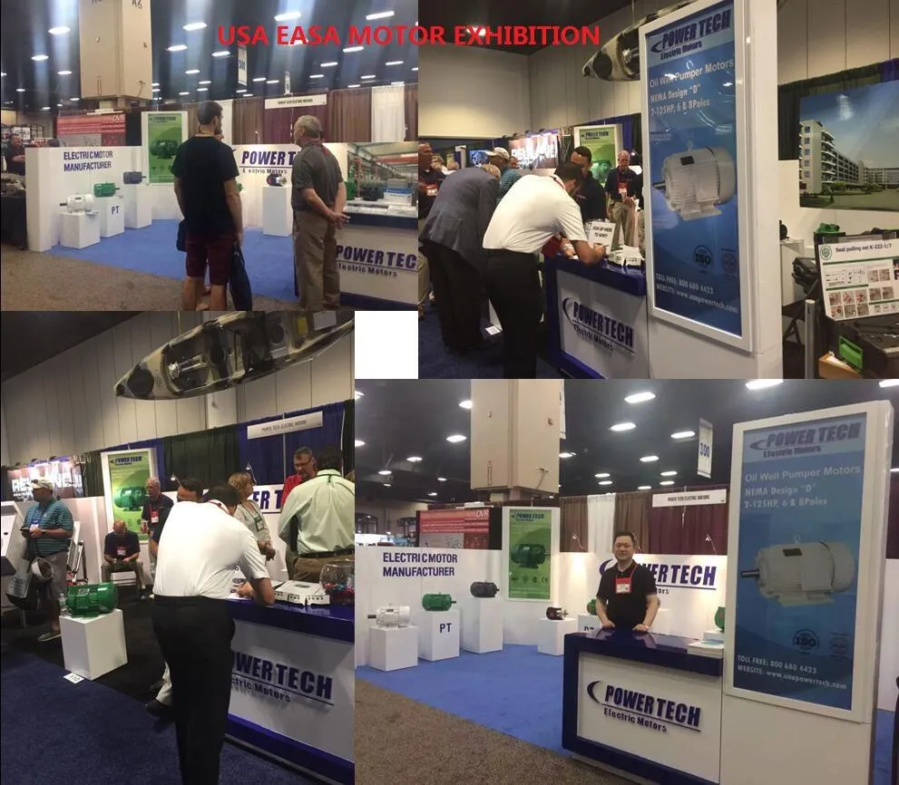 Yl Series 3HP 2pole Dual-Capacitor Induction AC Electric Single Phase Motor