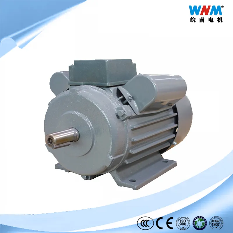 Yl Yy Yc Ce Approved Single Phase Start Capacitor Fractional Horsepower Mini Single Motor Yc90s-2 0.75kw