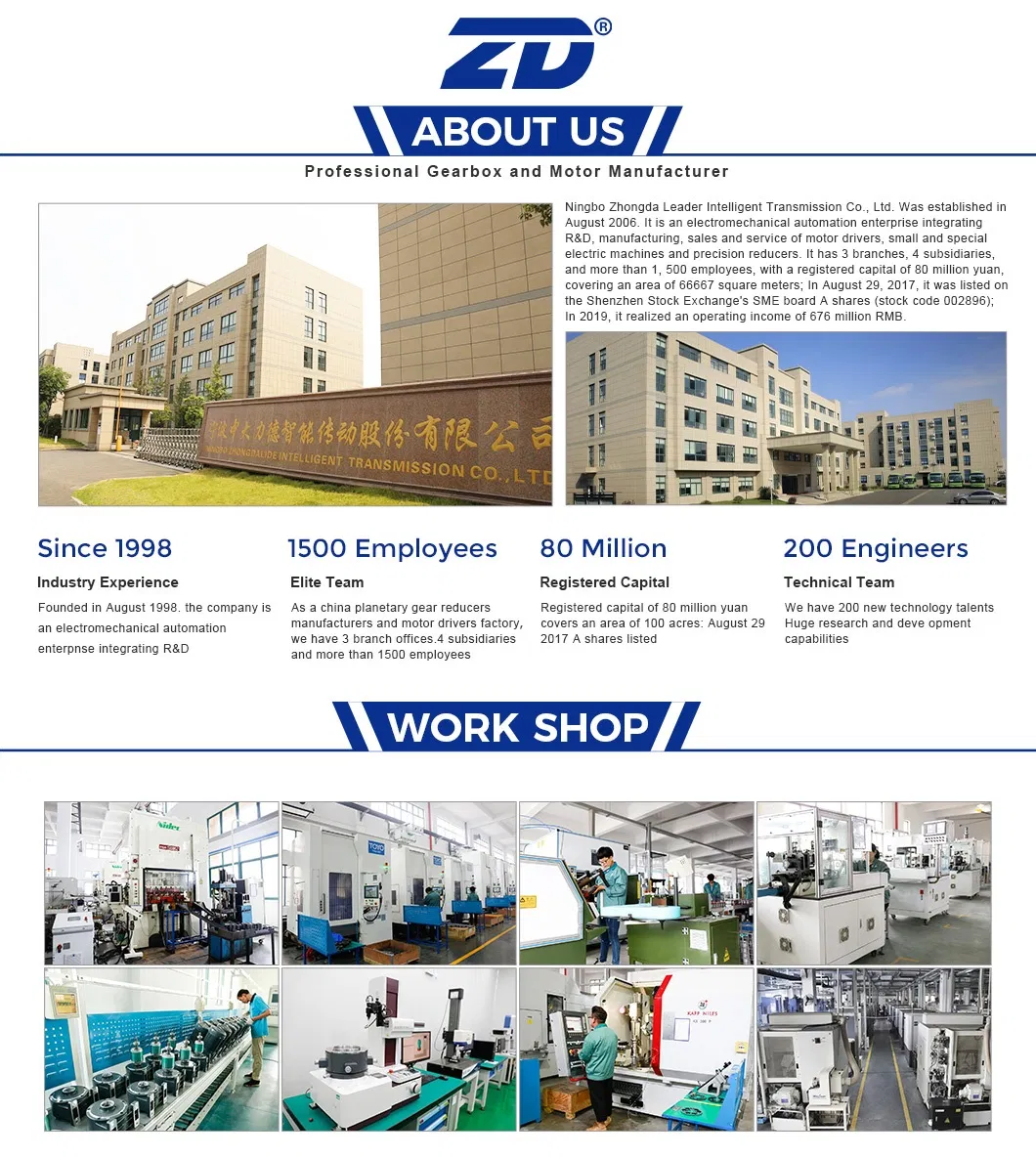 ZD 110V/220V 6W-200W Low Rpm High Torque Micro Electric Induction AC Gear Motor For Industry Equipment