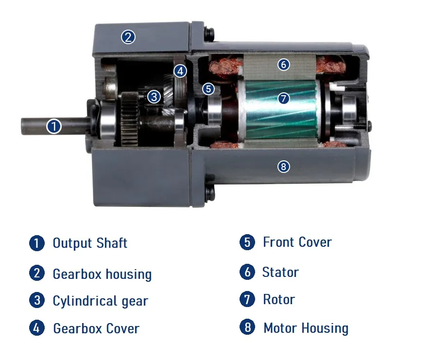 Zd Micro 60mm AC Induction Gear Motor for Assembly Line